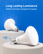 BR30 LED Bulb, High Lumen, 1600 Lumens