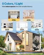 Recessed LED Lighting, 4 Inch, High Lumen Slim, Wafer Thin, Smooth Trim, Selectable CCT, 800 Lumens