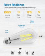 Ultra-Bright ST64 LED Bulb, Filament, 1500 Lumens