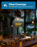 Ultra-Bright ST64 LED Bulb, Filament, 1500 Lumens