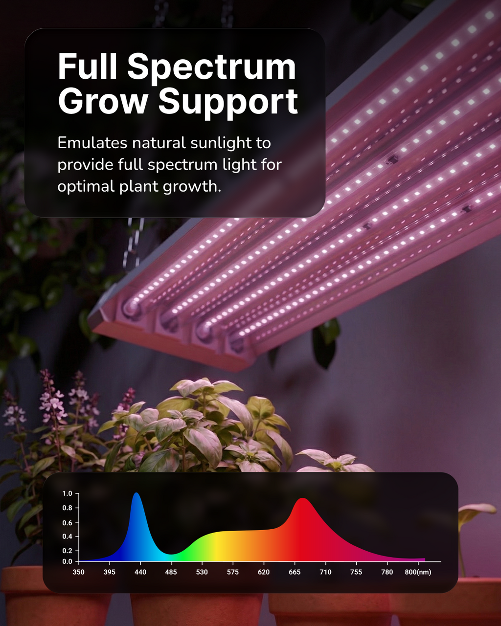 SuncoGrow Full Spectrum LED Grow Light, 4ft, 80W, Linkable