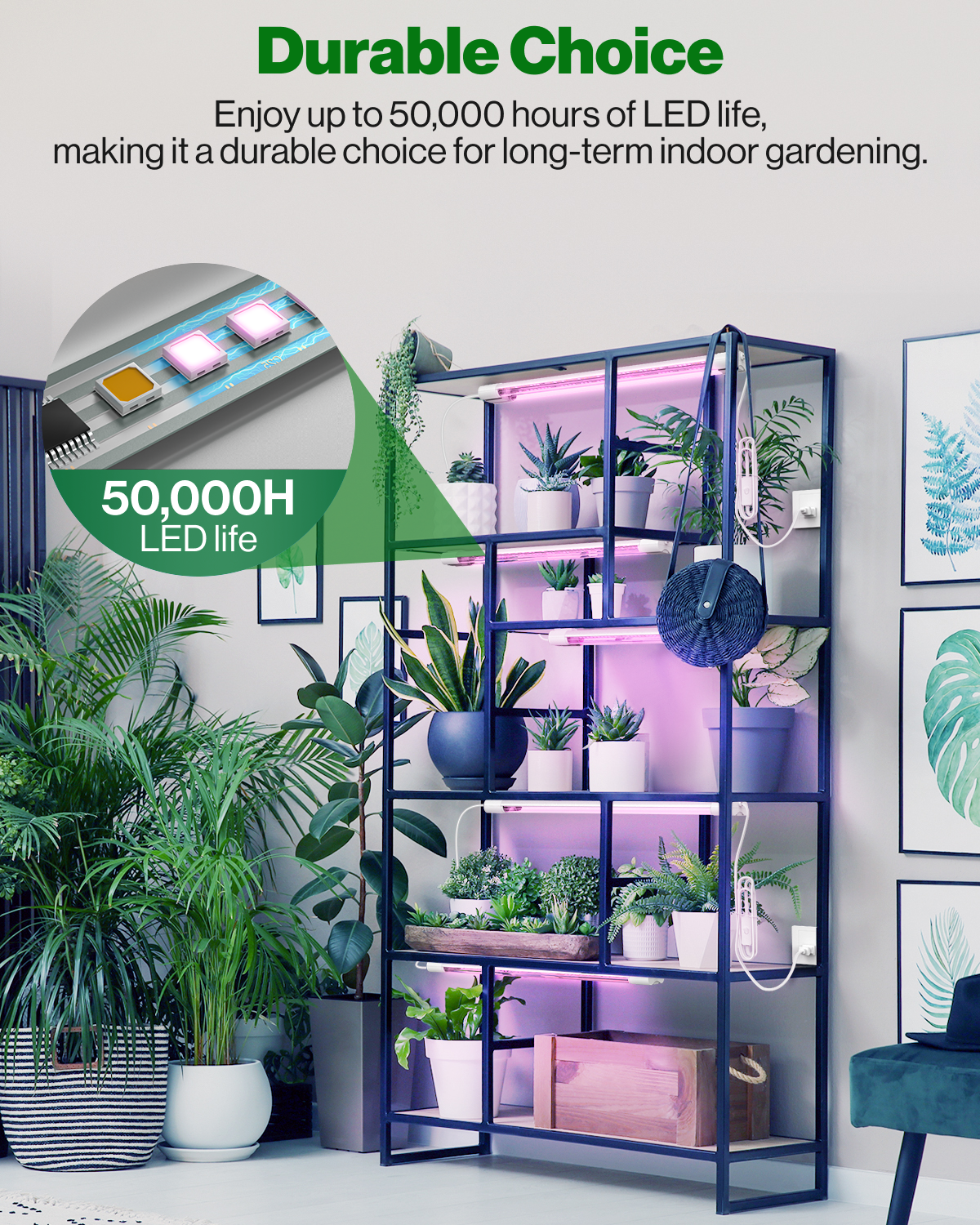 2500W LED Grow Light Full Spectrum For Indoor Plants – Veg & Bloom With IR