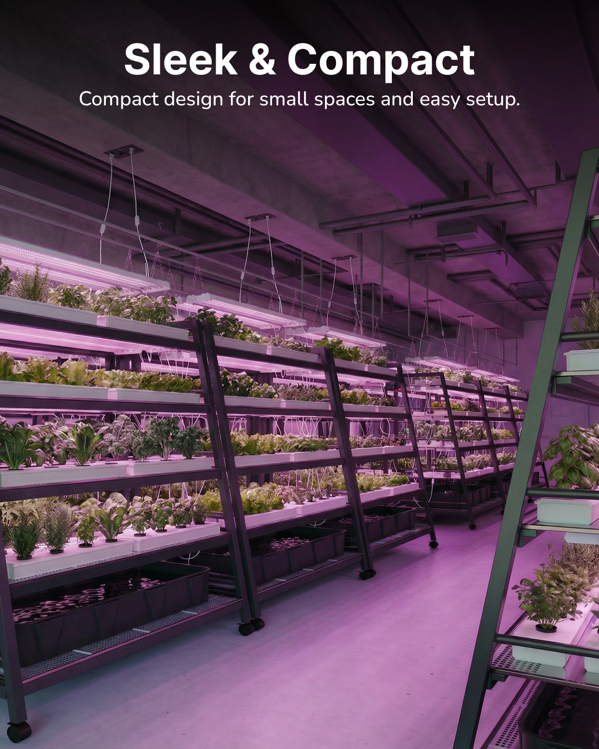 SuncoGrow Full Spectrum LED Grow Light, 4ft, 80W, Linkable