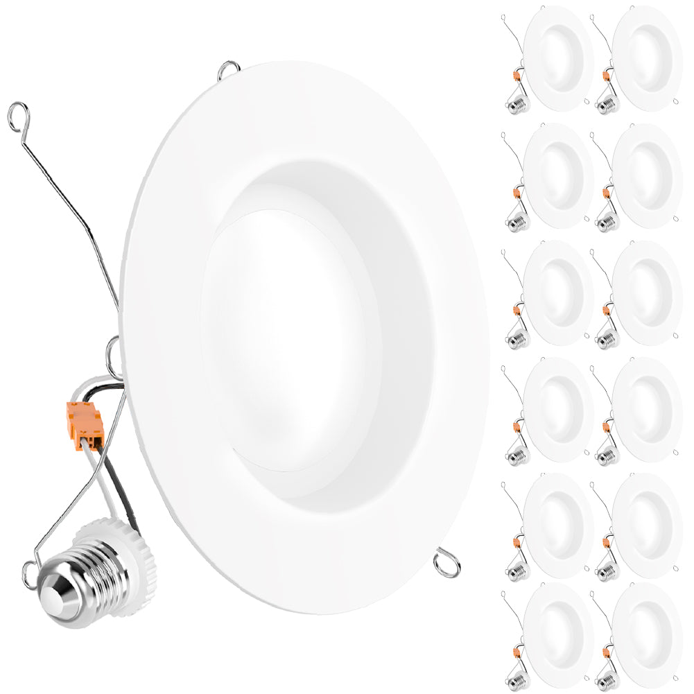 Large hero 5/6 inch smooth retrofit light with E26 adapter plus 12 smaller duplicates for multi pack display.