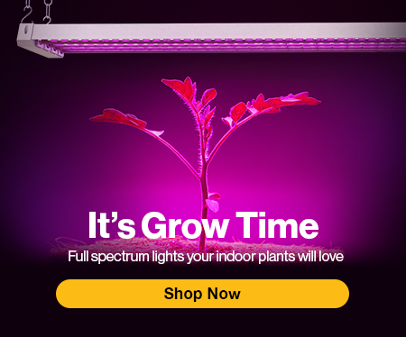 Grow lights banner