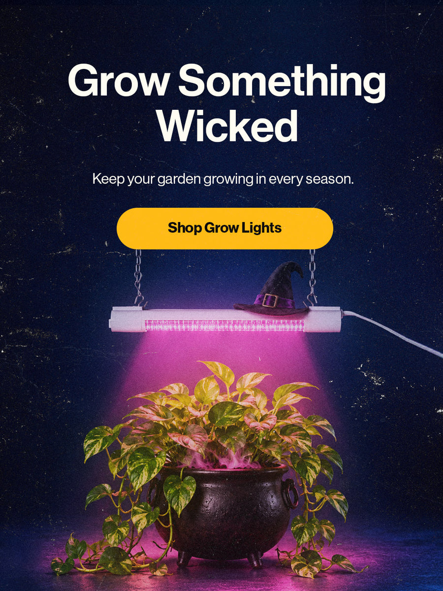 Grow lights banner