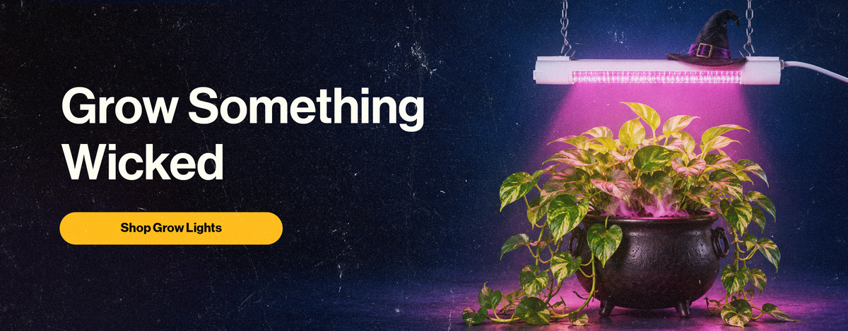 Grow lights banner