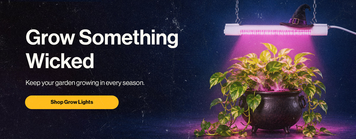Grow lights banner