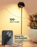 LED Black Orb Spotlight, Selectable CCT, 300 Lumens