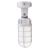 LED Vapor Tight Jelly Jar, Ceiling & Wall Mount, 21W, 2500 Lumens