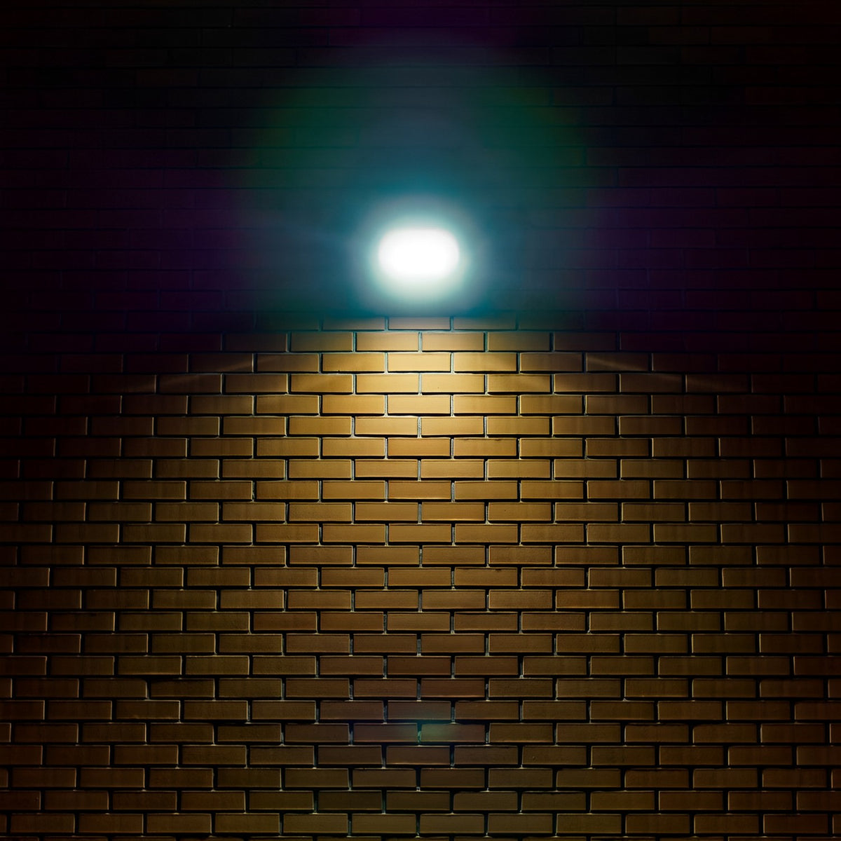 LED Wall Pack, Dusk to Dawn Photocell, 63W/45W/30W, Selectable Wattage & CCT, 8100 Lumens