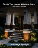 Our low voltage spotlight is perfect for showcasing plants, pathways, or architectural features—sleek, safe, and energy-efficient.