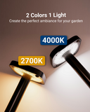 Solar LED Path Lights, Square, Dusk To Dawn