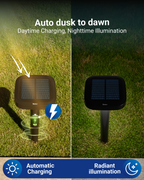 Solar LED Path Lights, Square, Dusk To Dawn