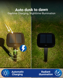 Solar LED Path Lights, Square, Dusk To Dawn