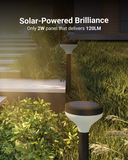 Solar Garden LED Path Lights, Round, Lotus, Dusk To Dawn