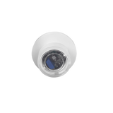 ENL-MPL-010-W