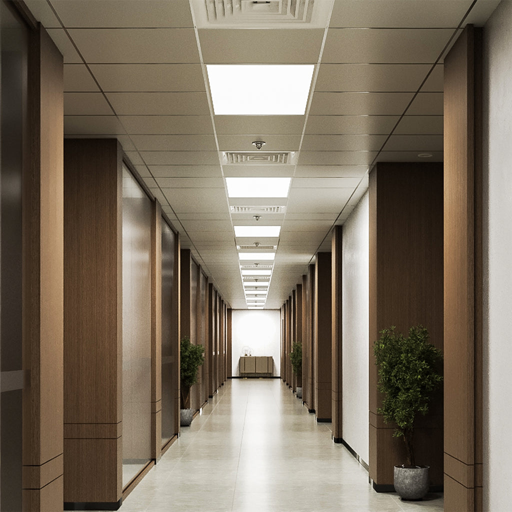 Office hallway lit by recessed 2x4 LED panels in a clean drop ceiling grid.