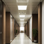 Office hallway lit by recessed 2x4 LED panels in a clean drop ceiling grid.