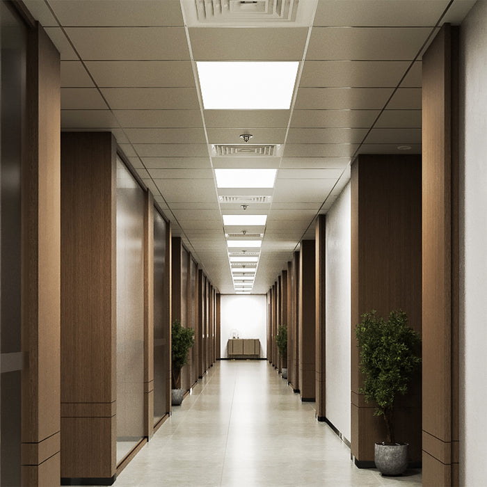 Office hallway lit by recessed 2x4 LED panels in a clean drop ceiling grid.