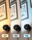 Three light bulbs with color temperature labels on a wall with framed pictures.
