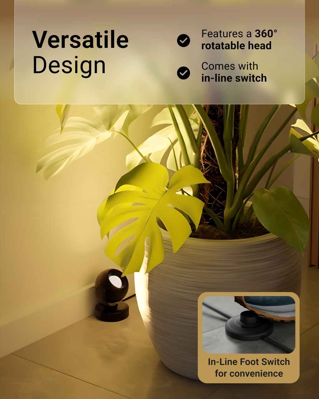 Light fixture with plant on a surface, highlighting features like 360-degree rotation and in-line switch.