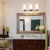 LED Bronze Finish Vanity Light, 22.5" Wide, 3-Light, 4498 Series