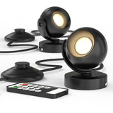 Two black outdoor lights with a remote control on a white background