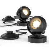 LED Black Orb Spotlight, Selectable CCT, 300 Lumens