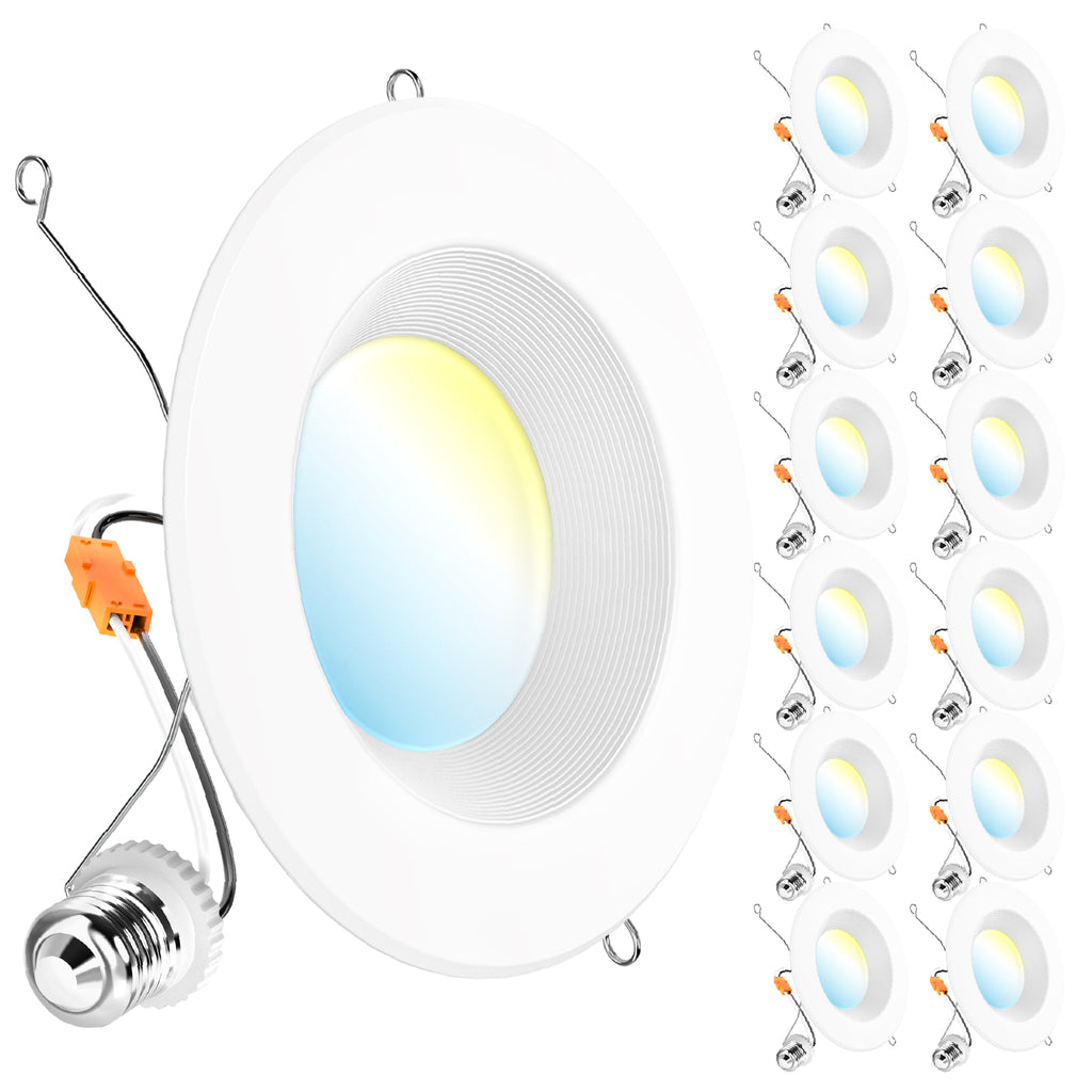Large hero baffle retrofit light plus 12 smaller duplicates, with E26 adapter, spring clips, and selectable color lens.