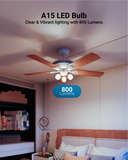 A15 LED Bulb, 800 Lumens
