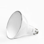 PAR38 LED Bulb, 1050 Lumens