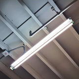 T5 LED Tube, 4ft, Frosted, Bypass, Type B, 25W, Single/Double Ended, Selectable CCT, 3500 Lumens