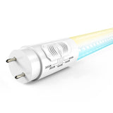 T8 LED Tubes, 4ft, Clear, Type B, Selectable CCT,  Single /Double Ended 18W, 2200 Lumens