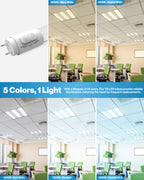 Select from various coior temperatures that fit the lighting mood you're looking for.