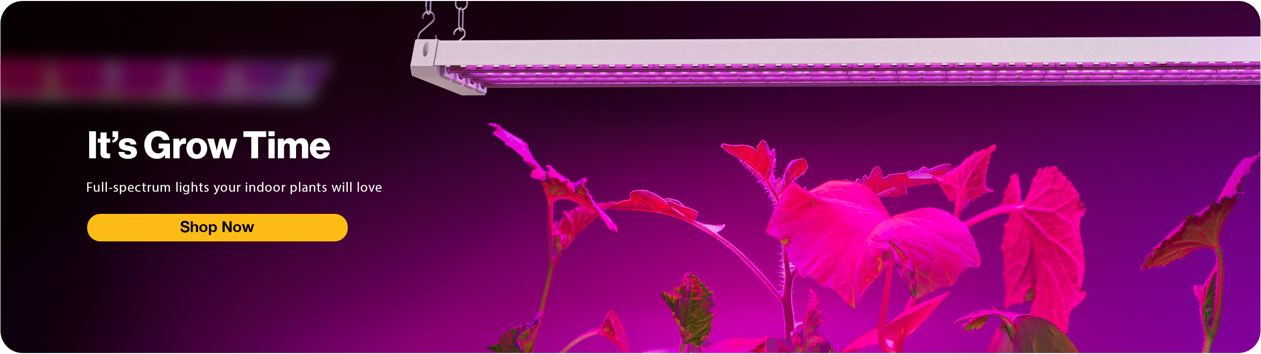 Grow lights banner