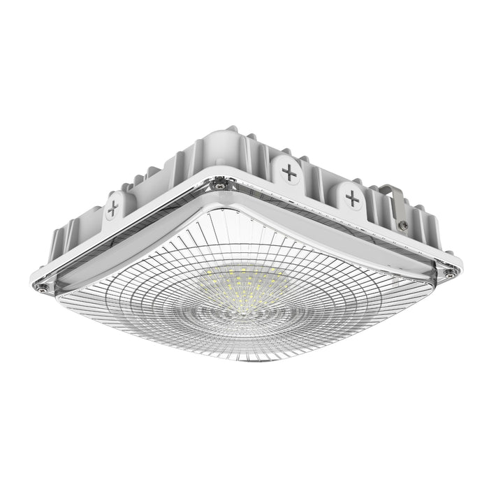 Image of white canopy light