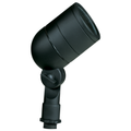 Black lensed bullet landscape light, angled view
