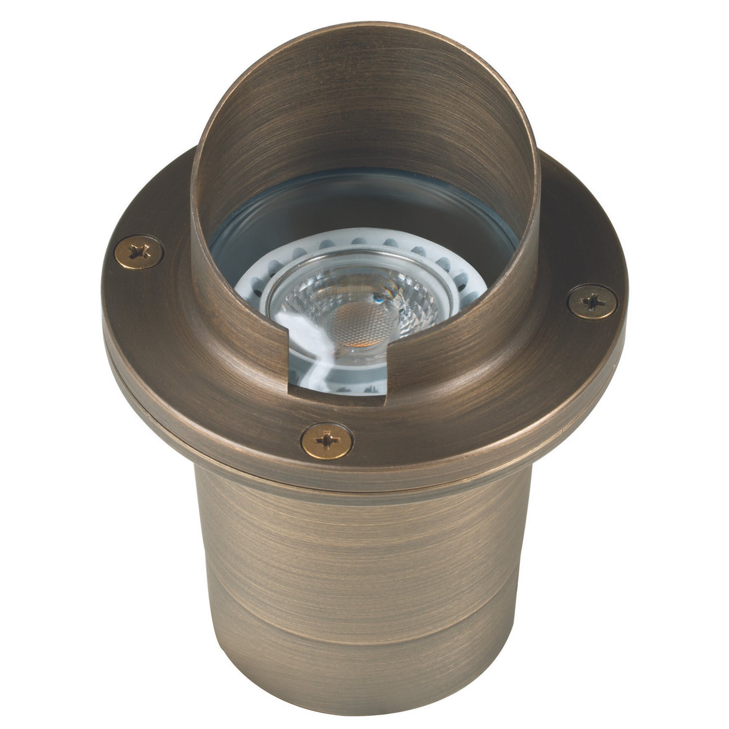 Antique bronze hooded round well light