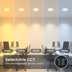 6 inch white motion activated commercial LED downlights in an open office, in five color temperatures from 2700K to 5000K