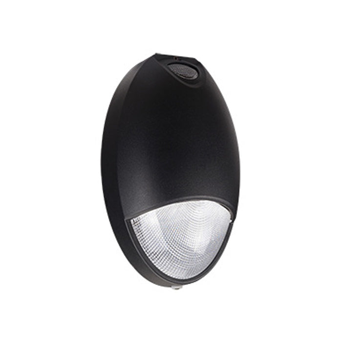 LED Outdoor Emergency Light, 12W, 1050 Lumens