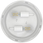 Arcadia Industrial Ceiling Light with A19 Filament Bulbs, 1600 Lumens